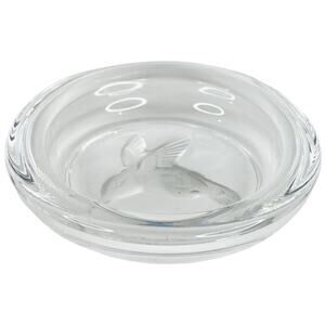Etched Glass Hummingbird Dish Coaster 4" Trinket Dish Ring Holder Paperweight